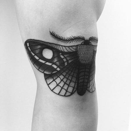 Tattoos - moth on knee - 129242